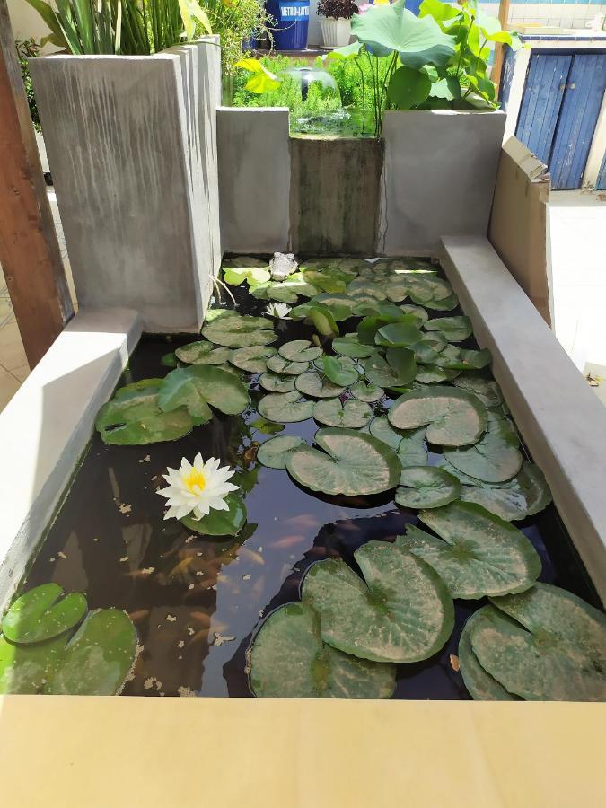B&B Luna Blu Carbonia Ngoại thất bức ảnh