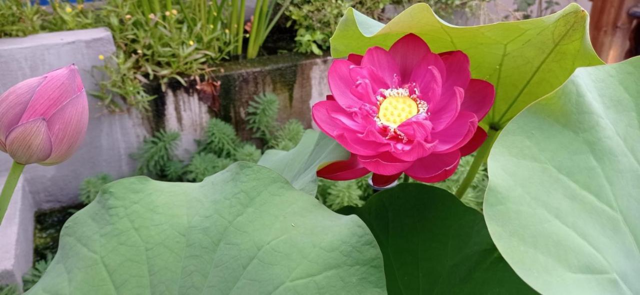 B&B Luna Blu Carbonia Ngoại thất bức ảnh